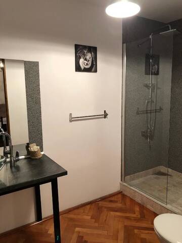 Фото номера Стандартный двухместный номер с 1 кроватью Отель Poet Pastior Residence г. Сибиу 4
