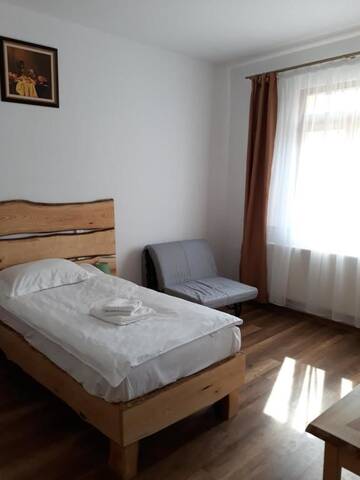 Фото номера Двухместный номер с 2 отдельными кроватями Гостевой дом Casa Geppetto г. Сибиу 14