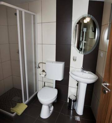 Фото номера Двухместный номер с 1 кроватью Гостевой дом Pensiunea Transilvania г. Сибиу 9