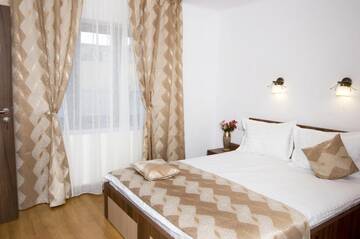 Фото номера Двухместный номер с 1 кроватью Гостевой дом Pensiunea Transilvania г. Сибиу 6