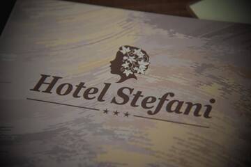 Фото номера Двухместный номер с 1 кроватью Отель Hotel Stefani г. Сибиу 16