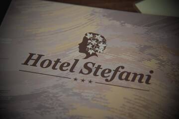Фото номера Двухместный номер с 1 кроватью Отель Hotel Stefani г. Сибиу 6