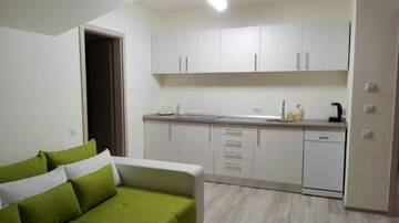 Фото номера Семейный люкс в мансарде Гостевой дом Amso Residence г. Сибиу 2