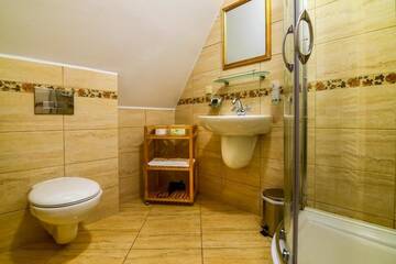 Фото номера Стандартный двухместный номер с 1 кроватью Гостевой дом Rosen Villa Sibiu г. Сибиу 42