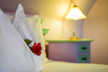 Фото номера Стандартный двухместный номер с 1 кроватью Гостевой дом Rosen Villa Sibiu г. Сибиу 45