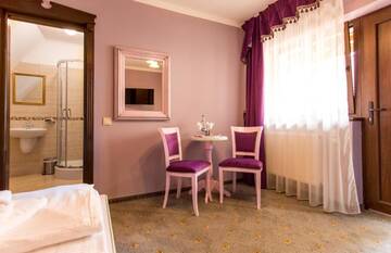 Фото номера Стандартный двухместный номер с 1 кроватью Гостевой дом Rosen Villa Sibiu г. Сибиу 22
