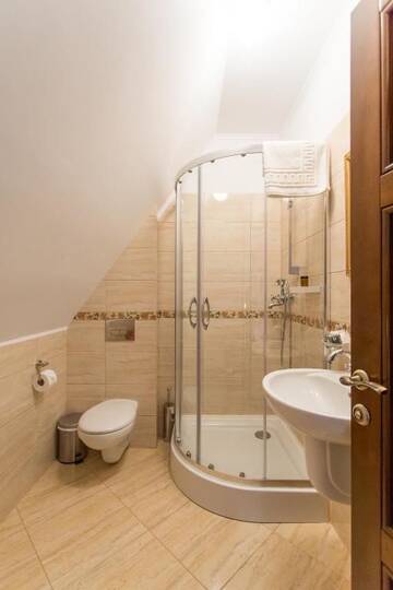 Фото номера Стандартный двухместный номер с 1 кроватью Гостевой дом Rosen Villa Sibiu г. Сибиу 19