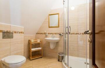 Фото номера Стандартный двухместный номер с 1 кроватью Гостевой дом Rosen Villa Sibiu г. Сибиу 25