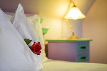 Фото номера Стандартный двухместный номер с 1 кроватью Гостевой дом Rosen Villa Sibiu г. Сибиу 5