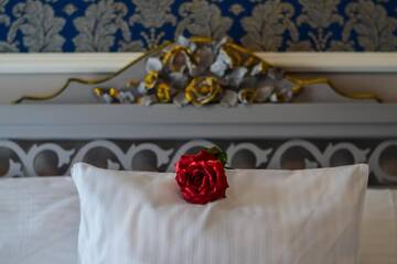 Фото номера Номер-студио Делюкс Гостевой дом Rosen Villa Sibiu г. Сибиу 6