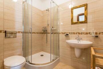 Фото номера Стандартный двухместный номер с 1 кроватью Гостевой дом Rosen Villa Sibiu г. Сибиу 31
