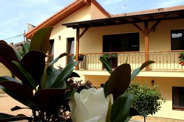 Фото номера Стандартный двухместный номер с 1 кроватью Гостевой дом Rosen Villa Sibiu г. Сибиу 33