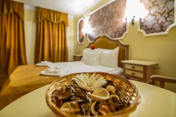 Фото номера Номер-студио Делюкс Гостевой дом Rosen Villa Sibiu г. Сибиу 13