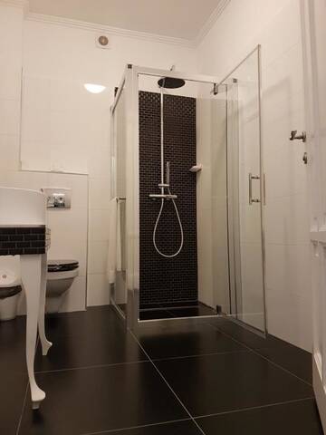 Фото номера Улучшенный люкс Гостевой дом Maison Elysée г. Сибиу 9