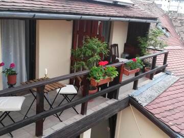 Фото номера Четырехместный номер с балконом 3 Гостевой дом Casa Veche г. Сибиу 6