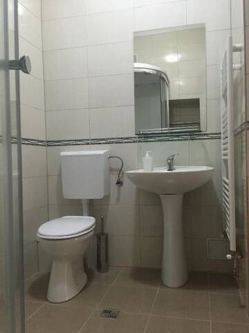 Фото номера Двухместный номер эконом-класса с 1 кроватью Гостевой дом Pensiunea Central Sibiu г. Сибиу 11