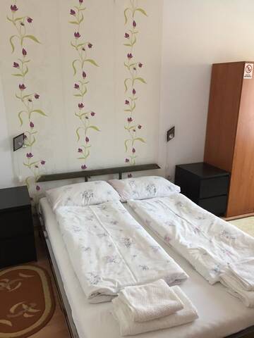 Фото номера Двухместный номер с 1 кроватью Гостевой дом Pensiunea Kristine Sibiu г. Сибиу 5