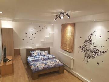 Фото номера Двухместный номер Делюкс с 1 кроватью Гостевой дом My Place - Butterflies г. Сибиу 10