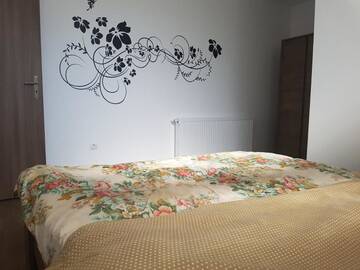 Фото номера Суперлюкс Гостевой дом My Place - Dream Suite г. Сибиу 8