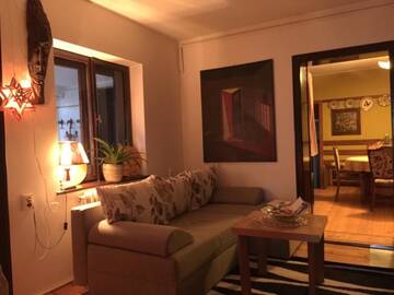 Фото номера Апартаменты с 1 спальней Гостевой дом Casa Sashi г. Сибиу 46
