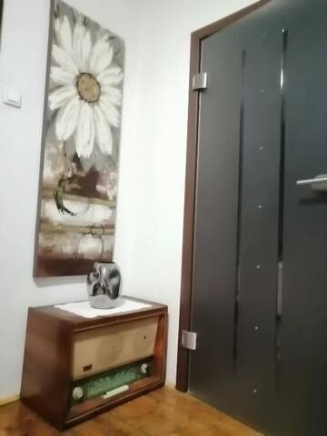 Фото номера Апартаменты с 1 спальней Гостевой дом Casa Sashi г. Сибиу 18