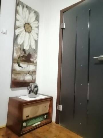 Фото номера Апартаменты с 1 спальней Гостевой дом Casa Sashi г. Сибиу 6