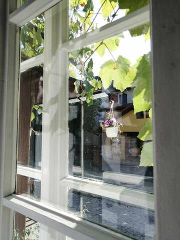 Фото номера Трехместный номер с общей ванной комнатой Гостевой дом Casa Sashi г. Сибиу 6