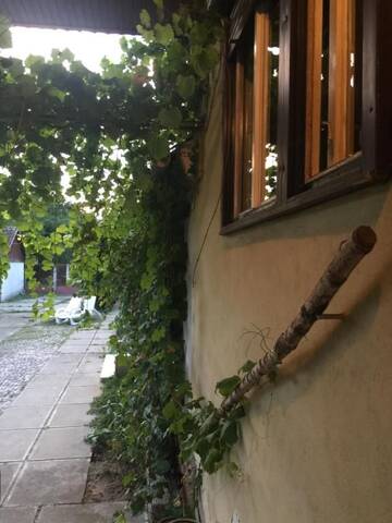 Фото номера Апартаменты с 1 спальней Гостевой дом Casa Sashi г. Сибиу 32