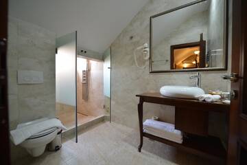 Фото номера Стандартный двухместный номер в мансарде Отель Noblesse Boutique Resort г. Сибиу 4