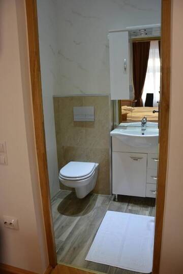 Фото номера Номер с кроватью размера «king-size» Гостевой дом 4Rooms Central Sibiu г. Сибиу 23