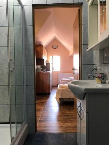 Фото номера Стандартные апартаменты Гостевой дом Villa Progresului г. Сибиу 48