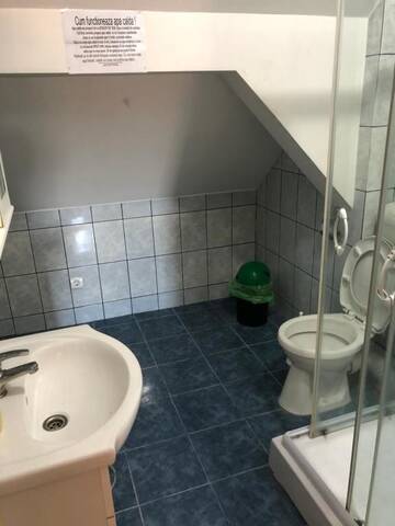 Фото номера Стандартные апартаменты Гостевой дом Villa Progresului г. Сибиу 46