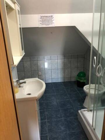 Фото номера Стандартные апартаменты Гостевой дом Villa Progresului г. Сибиу 47