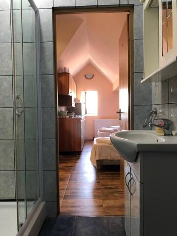 Фото номера Стандартные апартаменты Гостевой дом Villa Progresului г. Сибиу 10