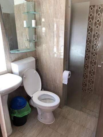 Фото номера Стандартные апартаменты Гостевой дом Villa Progresului г. Сибиу 6