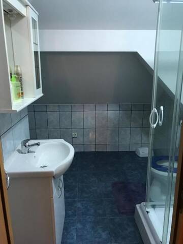 Фото номера Стандартные апартаменты Гостевой дом Villa Progresului г. Сибиу 38