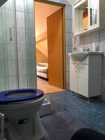 Фото номера Стандартные апартаменты Гостевой дом Villa Progresului г. Сибиу 39