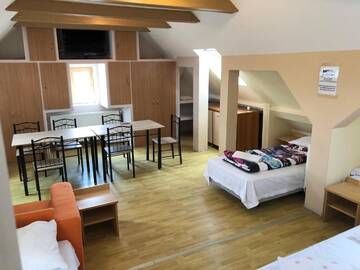Фото номера Стандартные апартаменты Гостевой дом Villa Progresului г. Сибиу 35