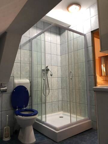 Фото номера Стандартные апартаменты Гостевой дом Villa Progresului г. Сибиу 40
