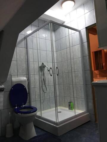 Фото номера Стандартные апартаменты Гостевой дом Villa Progresului г. Сибиу 37