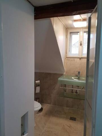 Фото номера Вилла с видом на сад Гостевой дом Martha Residence г. Сибиу 74