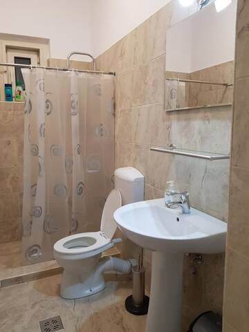 Фото номера Вилла с видом на сад Гостевой дом Martha Residence г. Сибиу 44