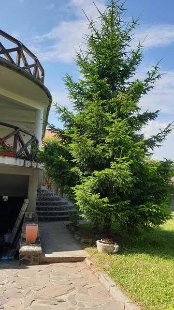 Фото номера Вилла с видом на сад Гостевой дом Martha Residence г. Сибиу 10