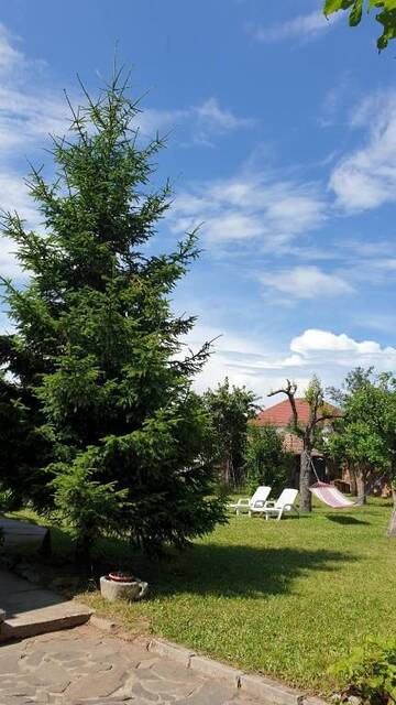 Фото номера Вилла с видом на сад Гостевой дом Martha Residence г. Сибиу 107