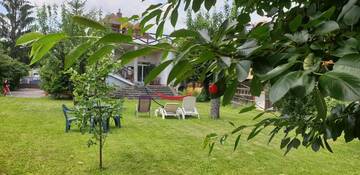 Фото номера Вилла с видом на сад Гостевой дом Martha Residence г. Сибиу 109