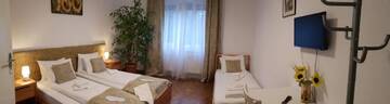 Фото номера Вилла с видом на сад Гостевой дом Martha Residence г. Сибиу 18