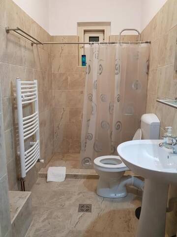 Фото номера Вилла с видом на сад Гостевой дом Martha Residence г. Сибиу 61