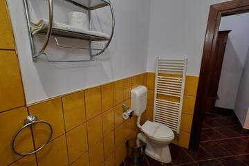 Фото номера Двухместный номер с 1 кроватью или 2 отдельными кроватями Гостевой дом Pensiunea Daniel г. Сибиу 7