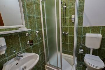 Фото номера Двухместный номер с 1 кроватью или 2 отдельными кроватями Гостевой дом Pensiunea Daniel г. Сибиу 13