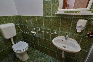 Фото номера Двухместный номер с 1 кроватью или 2 отдельными кроватями Гостевой дом Pensiunea Daniel г. Сибиу 14